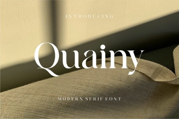 Quainy: Elevating Brand Identity with Minimalist Typography
