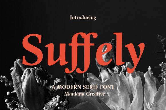 Suffely: Elevating Brand Identity with a Modern Display Serif
