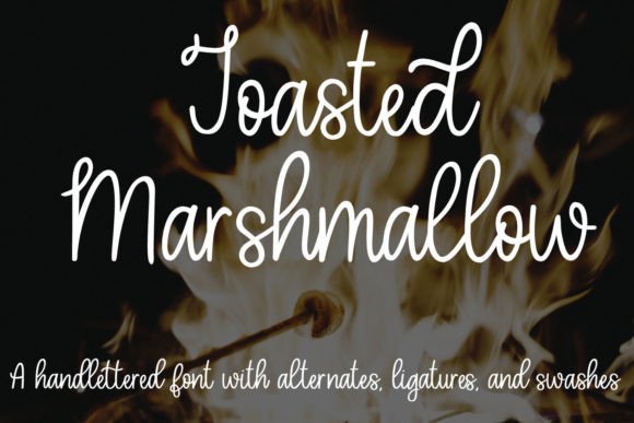 Toasted Marshmallow: Strategic Typography for Intentional Brand Communication